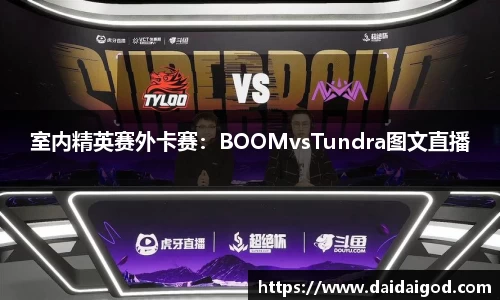 室内精英赛外卡赛：BOOMvsTundra图文直播