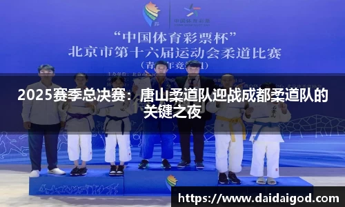 2025赛季总决赛：唐山柔道队迎战成都柔道队的关键之夜